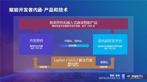 葡萄城發(fā)布軟件開發(fā)業(yè)務(wù)新使命，賦能開發(fā)者創(chuàng)新與成長